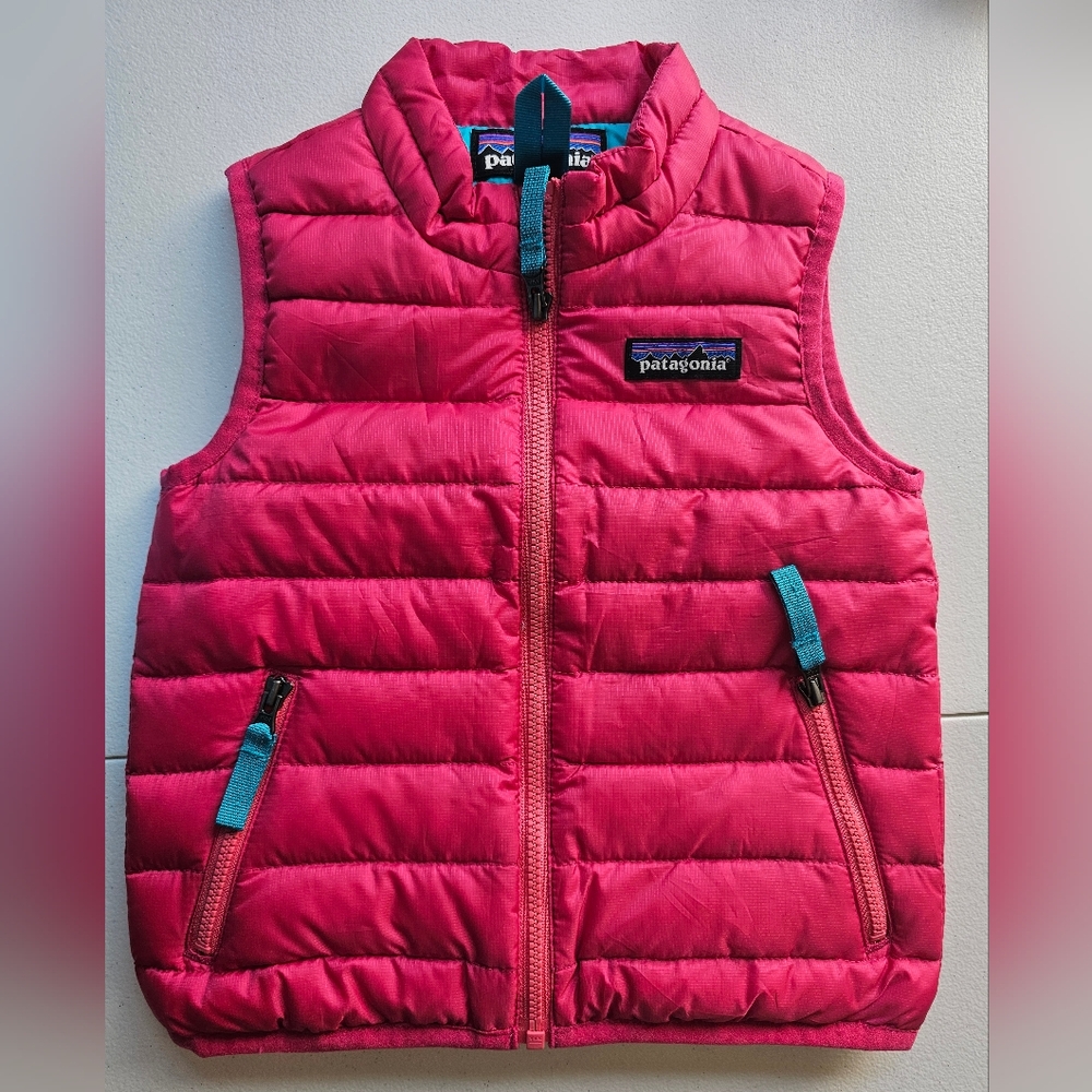 Patagonia Down Vest (size 12-18 Monts)
